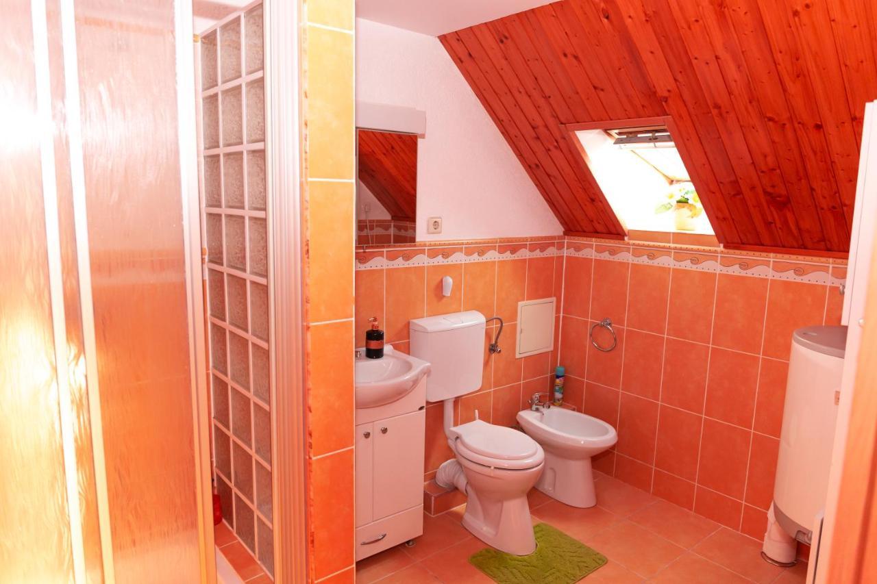 מלון Bujoreni Casa Ursului מראה חיצוני תמונה