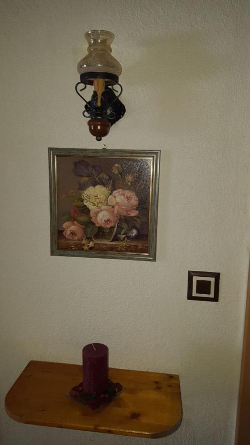 מלון Bujoreni Casa Ursului מראה חיצוני תמונה